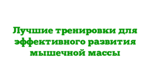 Лучшие тренировки для эффективного развития мышечной массы