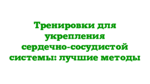 Тренировки для укрепления сердечно-сосудистой системы: лучшие методы
