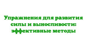 Упражнения для развития силы и выносливости: эффективные методы